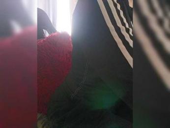 Cocochanell bongacams stream image, 23.05.2026 10:30