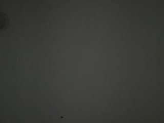 gabyferrer camsoda stream image, 12.06.2026 00:50
