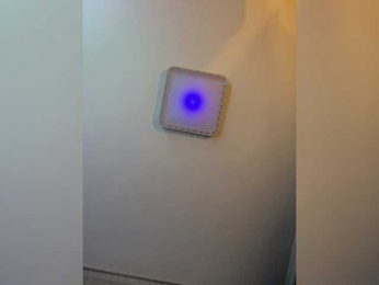 PALMIIRA bongacams stream image