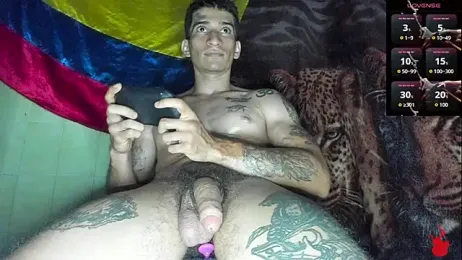 giorgicum stripchat stream image, 28.06.2026 05:00