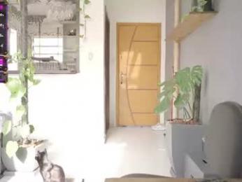 mystic_bunny chaturbate stream image, 09.07.2026 14:20