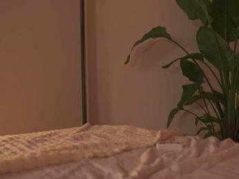Sofa01 bongacams stream image, 04.08.2026 14:20