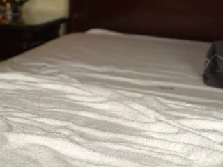 katyerave camsoda stream image, 07.08.2026 15:10