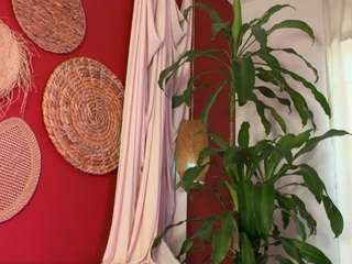 niaharris camsoda stream image, 20.08.2026 16:20