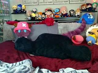 starryari69 camsoda stream image