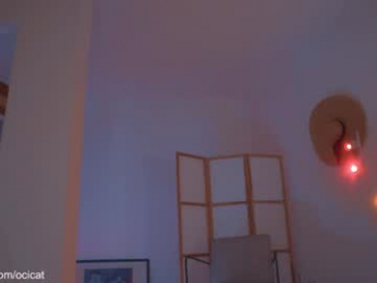 ocicat chaturbate stream image