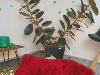 Pola Leone flirt4free stream image