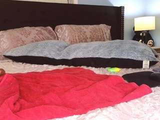 shawn-geni camsoda stream image