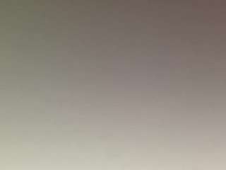 t1ger camsoda stream image