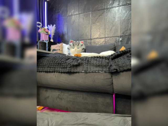 MagicMelody bongacams stream image