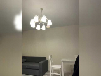 BabyDarii bongacams stream image