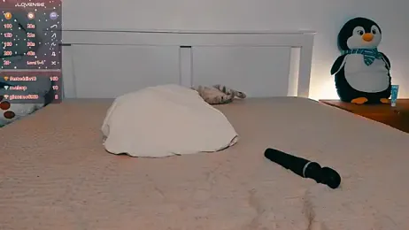 shaameless stripchat stream image