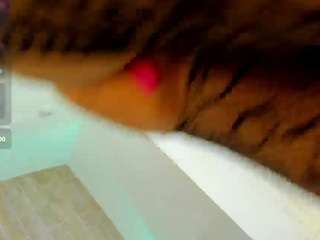 taammmy camsoda stream image