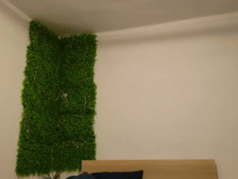 EmilyxJames bongacams stream image