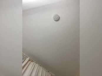 OBAYASHA bongacams stream image