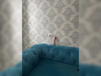 praesertim bongacams stream image