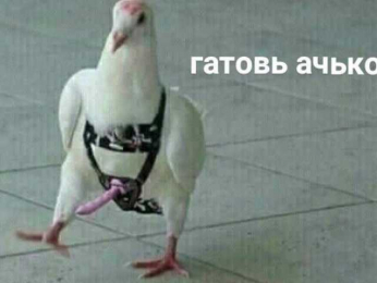 VikkiExtraCheese bongacams stream image