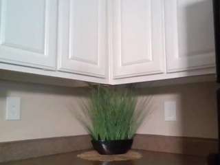 lovely-brown94 camsoda stream image