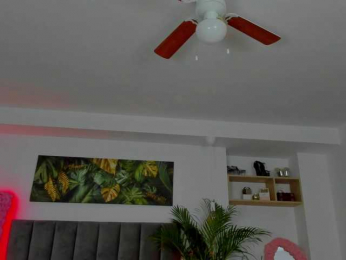 Fancy-t33n bongacams stream image