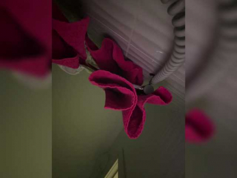 BabyDarii bongacams stream image