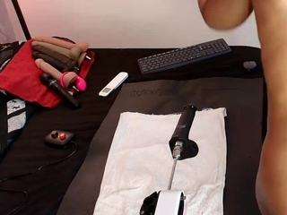 hallybans camsoda stream image