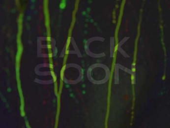 HeyBanana bongacams stream image