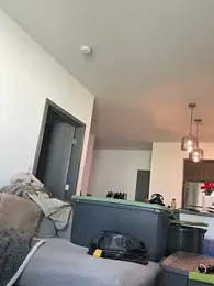 Bigbuttbrooklynn stripchat stream image