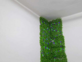 EmilyxJames bongacams stream image