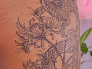 kali-hill camsoda stream image