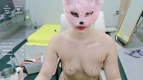 Kor_Cat stripchat stream image