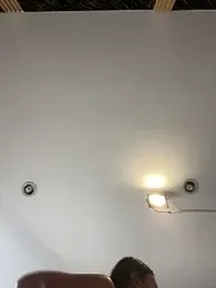 Rose-euphoria stripchat stream image