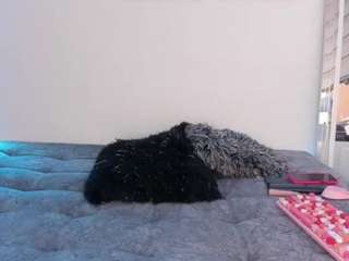 avaferrera camsoda stream image