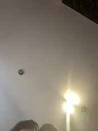 Rose-euphoria stripchat stream image