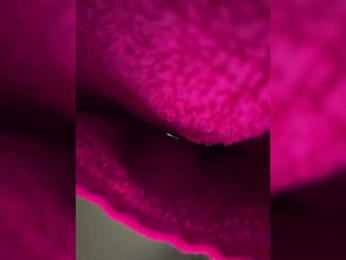 BabyDarii bongacams stream image