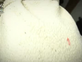 naughty_skull chaturbate stream image