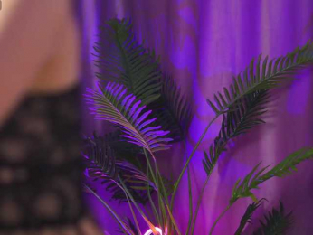 LilaRosie bongacams stream image