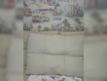 Anesteishen bongacams stream image