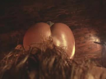 heybanan chaturbate stream image