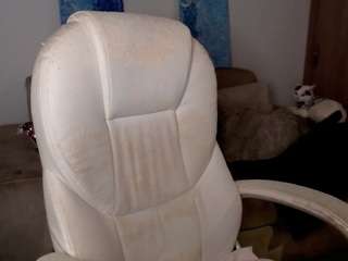 alexyferrer camsoda stream image