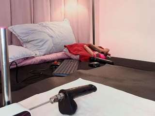 hallybans camsoda stream image