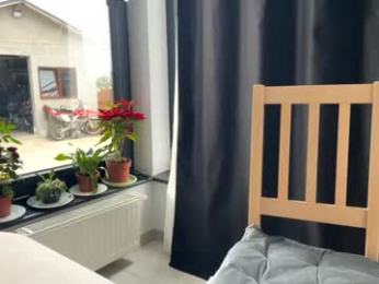 nyconik chaturbate stream image