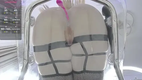 Xenomy stripchat stream image