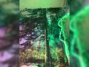 -Summer- bongacams stream image