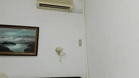 sexycookies stripchat stream image