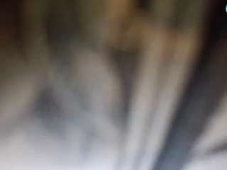 stalliontheesavage camsoda stream image