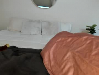 sexxylaurab chaturbate stream image