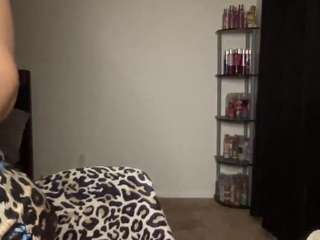 t1ger camsoda stream image