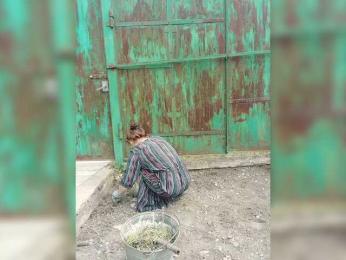 Kisa-malaya bongacams stream image