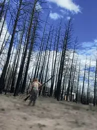 GoldenFlameGoddess stripchat stream image