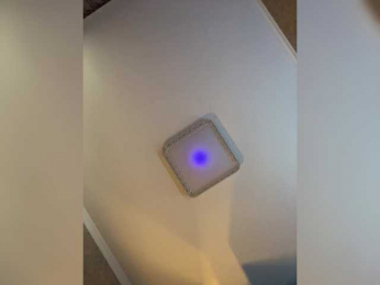 PALMIIRA bongacams stream image